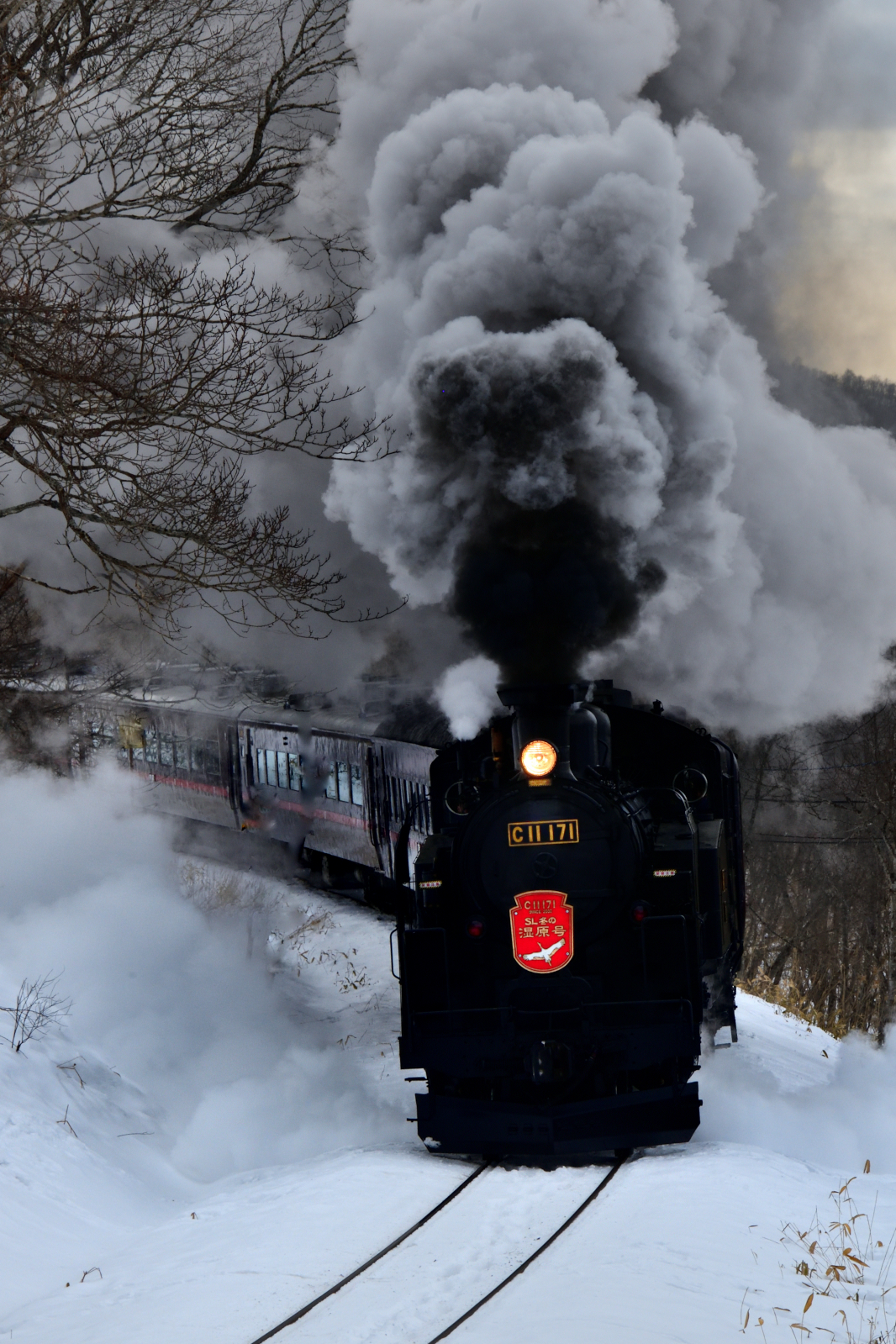 野澤進さん作品