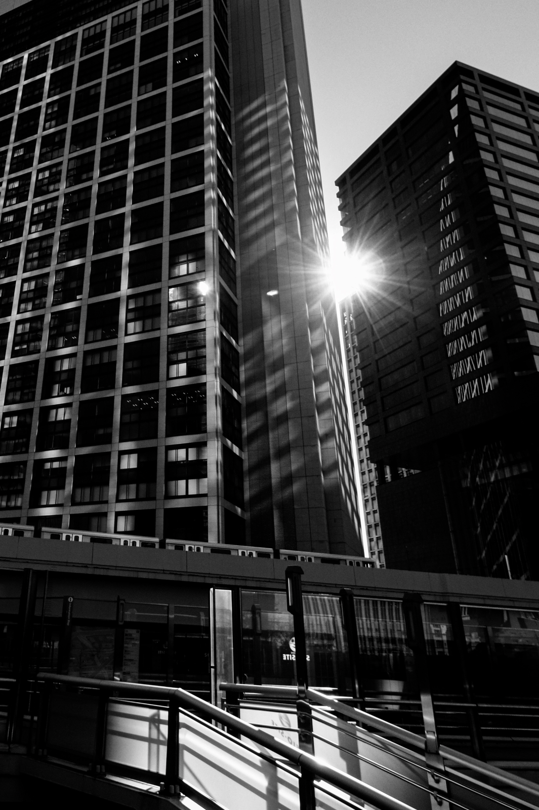 萩本美代子さん作品