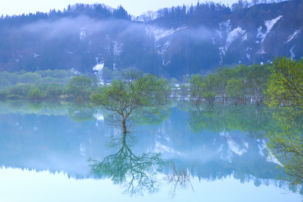 蔵並 稔さんの作品