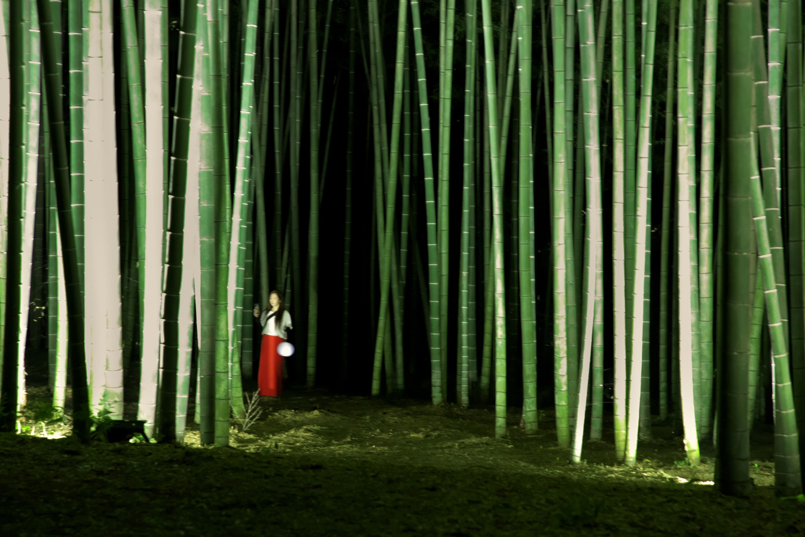 阿部朝彦さんの作品