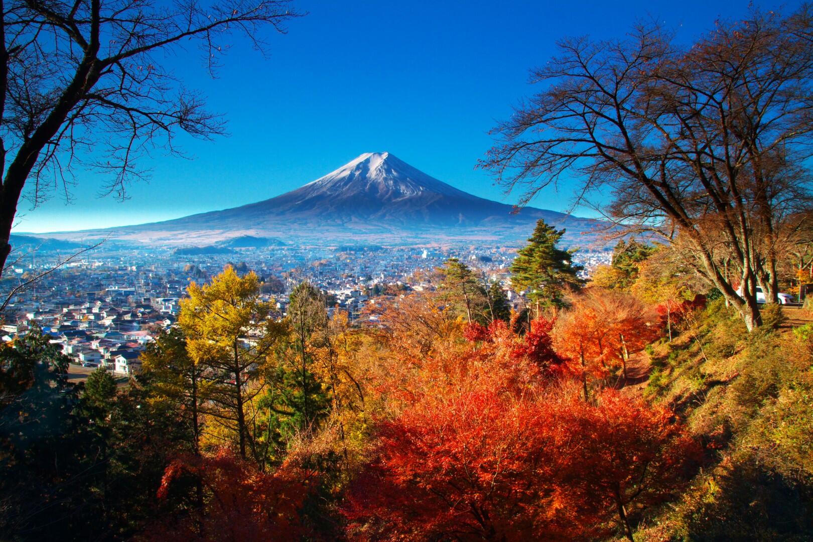 阿部朝彦さん作品